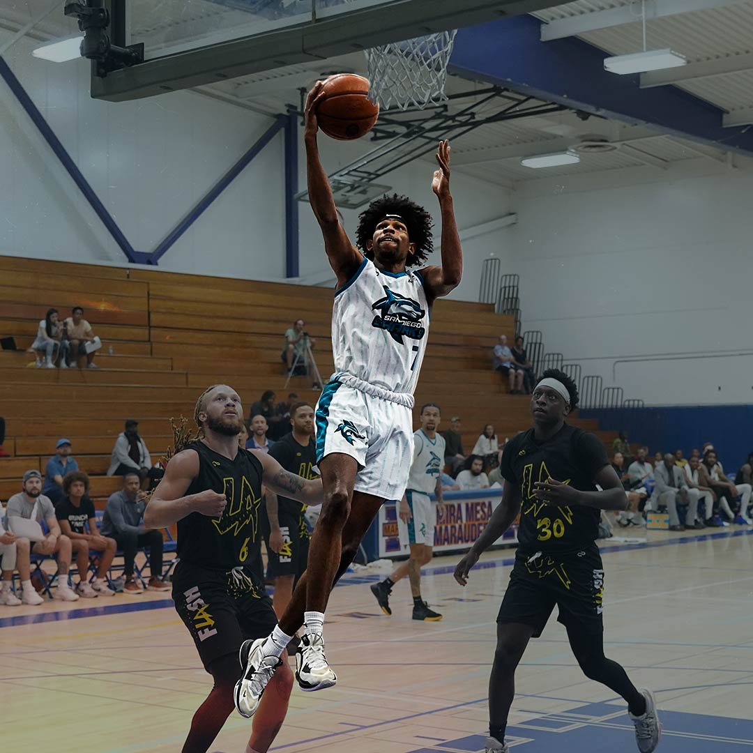 Sharks Dunk Sharks Dunk