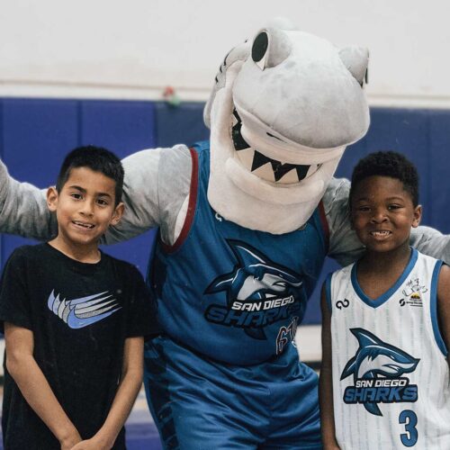Chomp the shark with fans