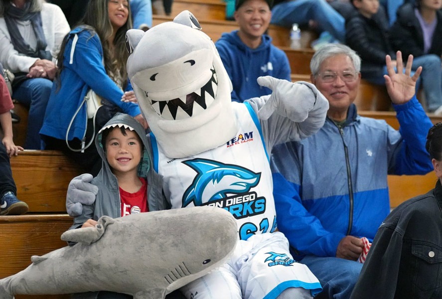 Crunch the shark in the stands with fans