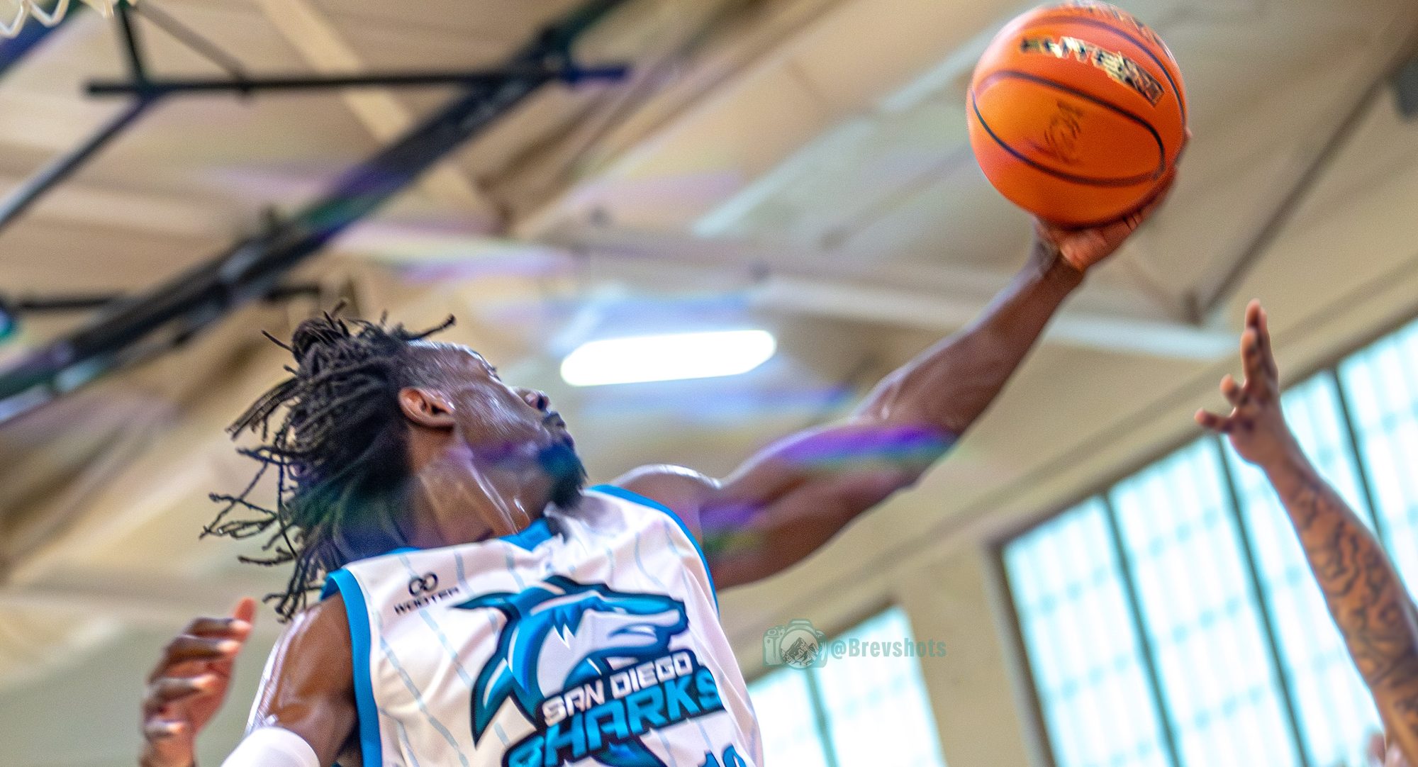 Sharks number 13 reaching for the rim with the ball in one hand